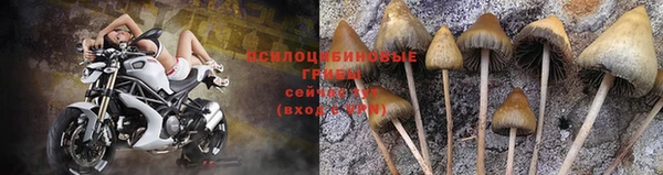 прущие крисы Алексин