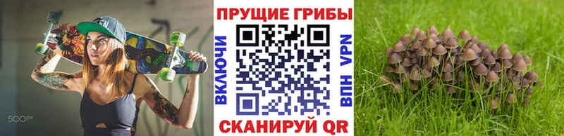 купить наркотик  Миньяр  Галлюциногенные грибы Magic Shrooms 